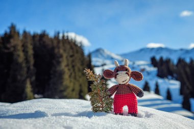 Neşeli bir oyuncak goby, kışın dağlarda durur. Küçük bir ardıç ağacıyla birlikte. El yapımı Noel ağacı oyuncağı. 2021 'in boğa sembolü