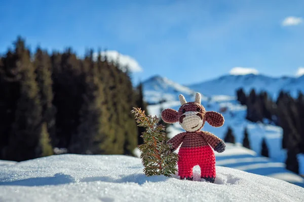 Neşeli bir oyuncak goby, kışın dağlarda durur. Küçük bir ardıç ağacıyla birlikte. El yapımı Noel ağacı oyuncağı. 2021 'in boğa sembolü