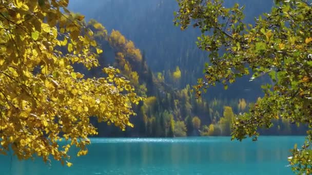 Een Warme Herfstdag Een Bergmeer Turkoois Water Goudgele Bomen Het — Stockvideo