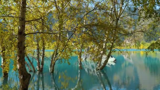 Una Calda Giornata Autunnale Lago Montagna Acqua Turchese Alberi Giallo — Video Stock