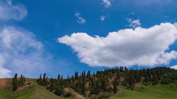 Beweging Van Wolken Heuvels Heuvels Zijn Begroeid Met Dennenbomen Zonnige — Stockvideo