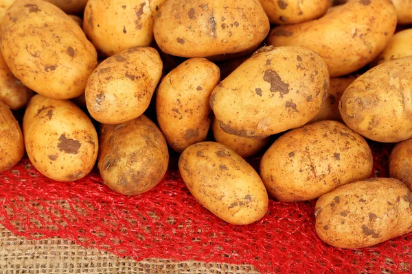 Rå baby potatis — Stockfoto