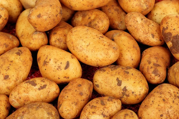 Rå baby potatis — Stockfoto