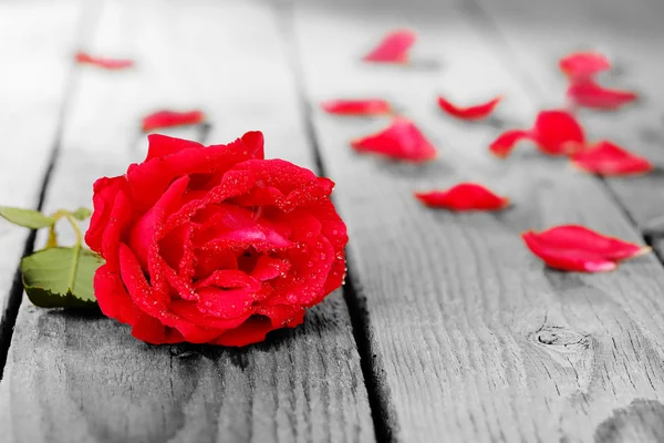 Rose di kayu — Stok Foto