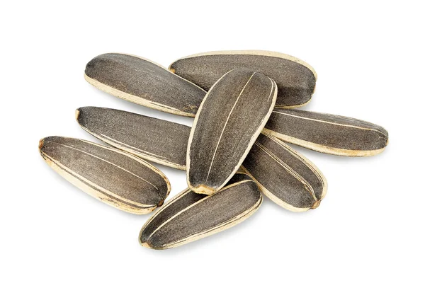 Sunflower seeds macro — Stock Photo, Image