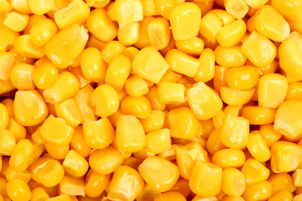 Fundo de milho doce — Fotografia de Stock