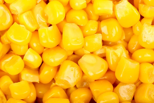 stock image sweet corn background