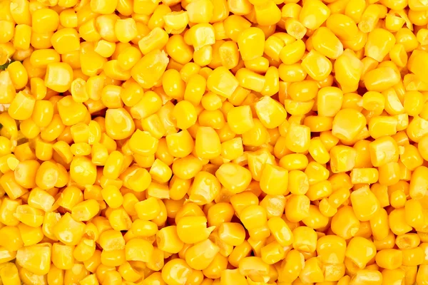 Fondo de maíz dulce —  Fotos de Stock