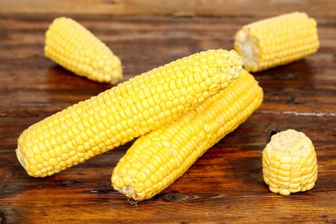 Ahşap üzerine Mısır