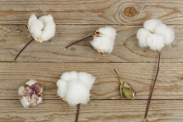 Flat Lay Image Cotton Balls Wood — Stock Photo, Image