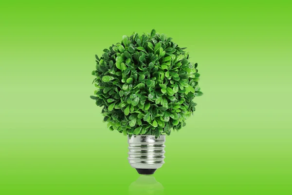 Plastic Bush Light Bulb Base — Stock Photo, Image