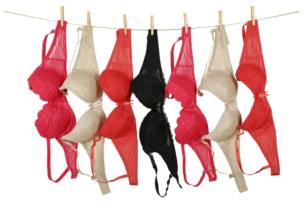 Bras on clothesline — Stock Photo, Image