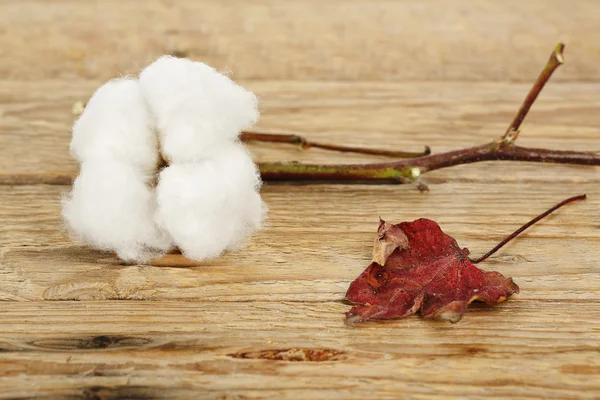 Sfera di cotone — Foto Stock