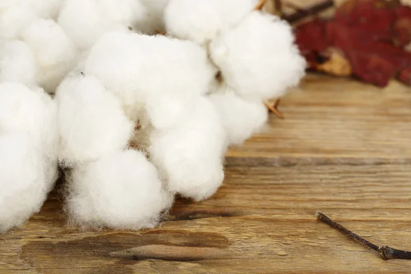 Cotton on wood — Stock Photo, Image