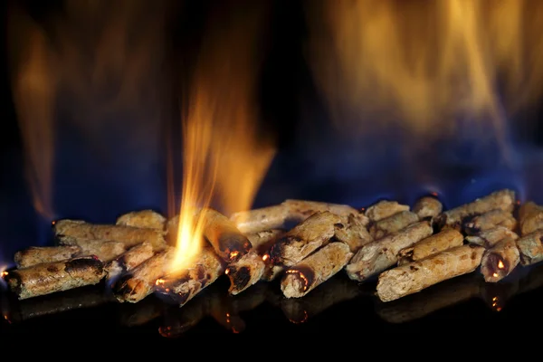 燃烧的木质颗粒燃料 — 图库照片