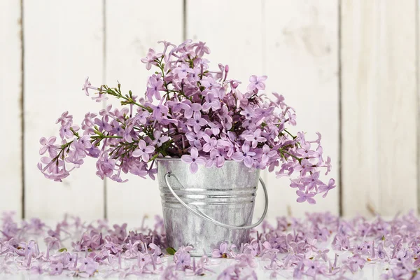 Flor de lila —  Fotos de Stock