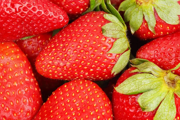 Strawberries — Stock Photo, Image