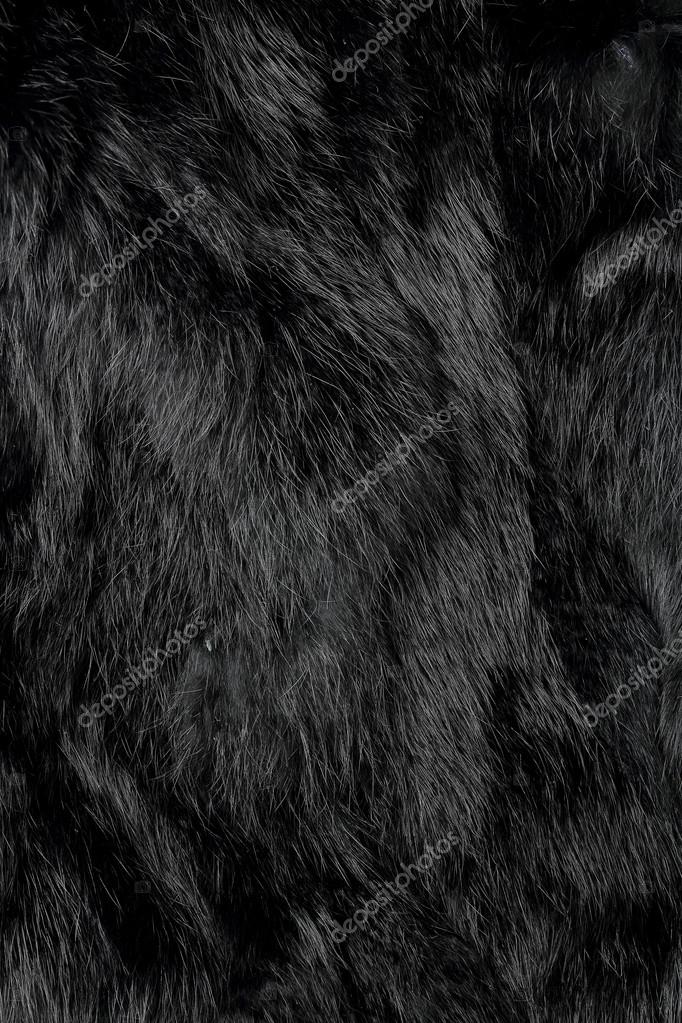 165,977 Black Fur Texture Royalty-Free Images, Stock Photos & Pictures