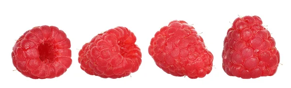 Himbeeren — Stockfoto