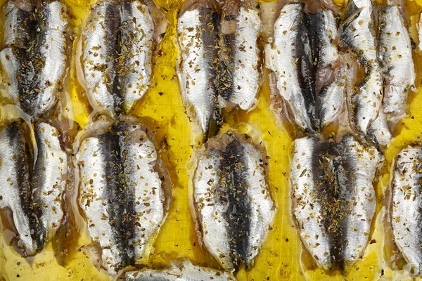 Sardines fillet — Stock Photo, Image