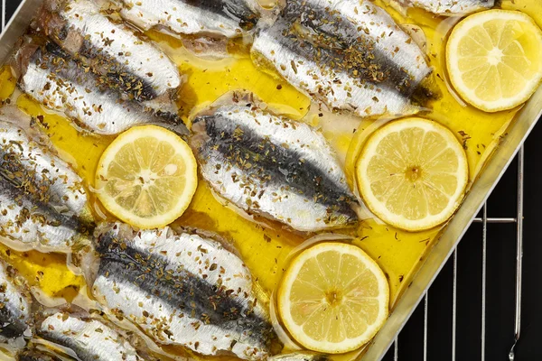 Filete de sardinas —  Fotos de Stock