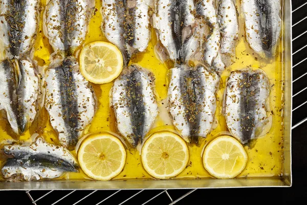 Sardines — Stockfoto