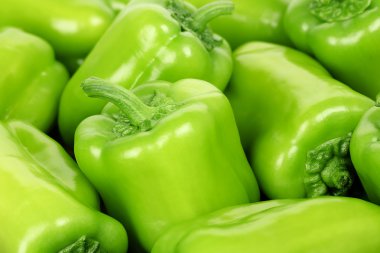 yeşil biber