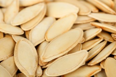 Kabak Çekirdeği portre