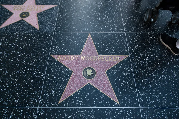 Woody Woodpecker Hollywood ster — Stockfoto