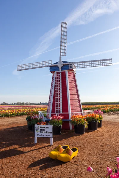 The Wooden Shoe Tulip Farm — Stock Photo, Image