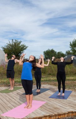 Öğleden sonra bir çiftlikteki ahşap bir platformda yoga dersine katılan küçük bir grup insan..