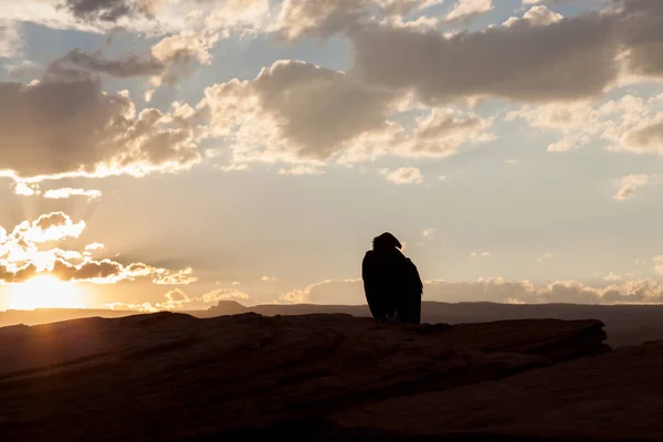 Grande Pássaro Condor Califórnia Senta Borda Penhasco Horseshoe Bend Arizona — Fotografia de Stock