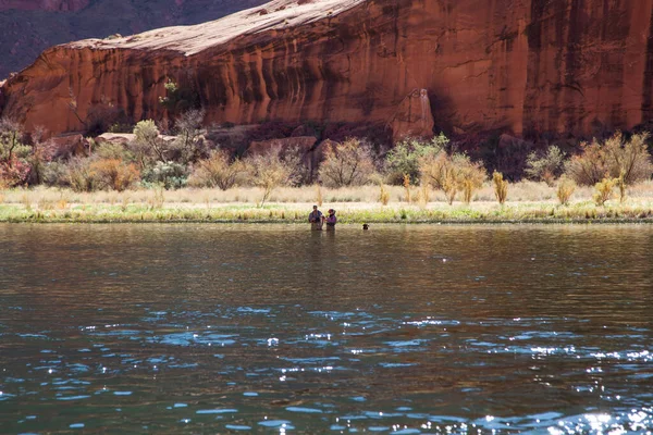 Horseshoe Bend Arizona Usa Ekim 2014 Bir Çift Köpekleri Arizona — Stok fotoğraf