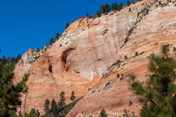 Steep Sandstone Cliff Eroding Time Create Caves Trees Growing Patches — Stock Photo, Image