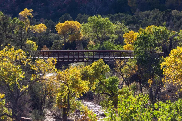 Een Wandelbrug Overspant Virgin River Met Herfstkleuren Loofbomen Zion National — Stockfoto