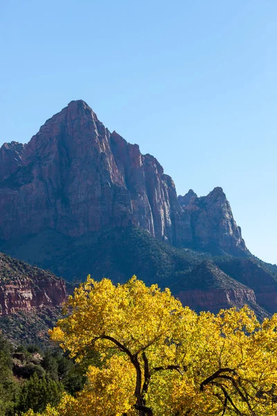 Montañas Altas Arenisca Erosionada Detrás Hojas Otoño Color Amarillo Brillante — Foto de Stock