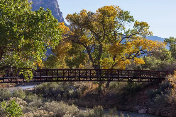 ウォークブリッジは ユタ州シオン国立公園の落葉樹の秋の色とバージン川にまたがります — ストック写真