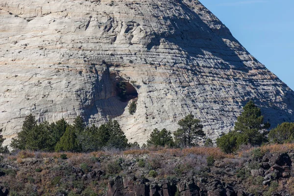 Una Gran Cueva Con Árbol Maduro Creciendo Abertura Lado Una — Foto de Stock