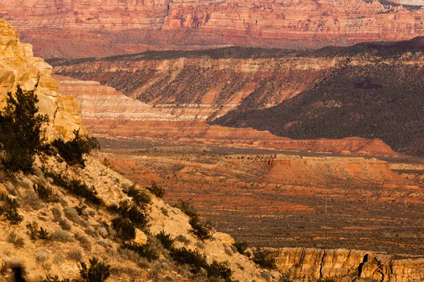 午後遅くの光は シオン国立公園近くのユタ砂漠の層を黄色 オレンジ 赤に輝きます — ストック写真