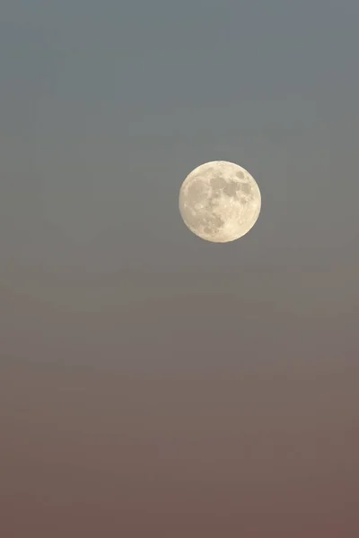 Une Pleine Lune Éclatante Dans Ciel Clair Bleu Pastel Estompant — Photo