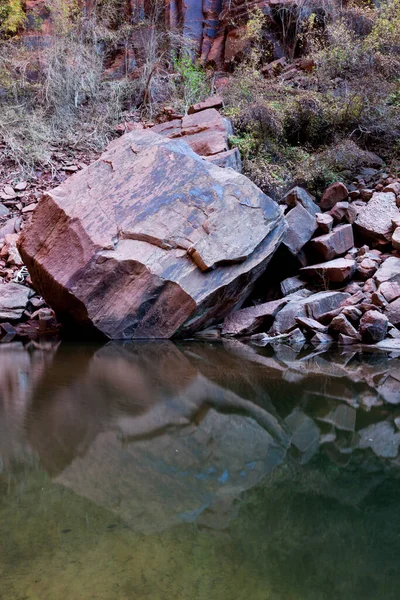 Large Boulder Edge Emerald Pool Casting Reflection Calm Water Zion — Stock Photo, Image