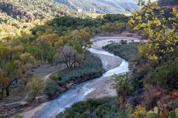 Девственная Река Мере Дует Через Красивый Пейзаж Национального Парка Сион — стоковое фото