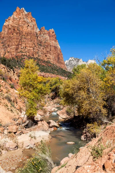 Rivière Vierge Serpente Travers Magnifique Paysage Parc National Sion Automne — Photo