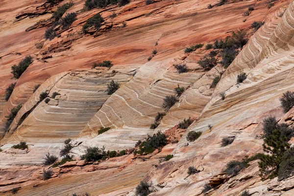 Murallas Cañón Que Han Sido Erosionadas Con Tiempo Para Formar — Foto de Stock