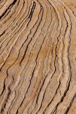 Utah 'taki Zion Ulusal Parkı' nda binlerce yıldır aşınmakta olan kumtaşı zemininin katmanlı yüzeyi..