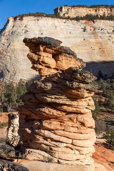 Una Torre Pietra Arenaria Hoodoo Sorge Dal Suolo Ricoperta Roccia — Foto Stock