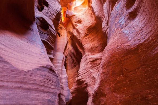 Kanyon X duvarlar — Stok fotoğraf