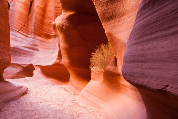 Canyon X Walls — Stock Photo, Image