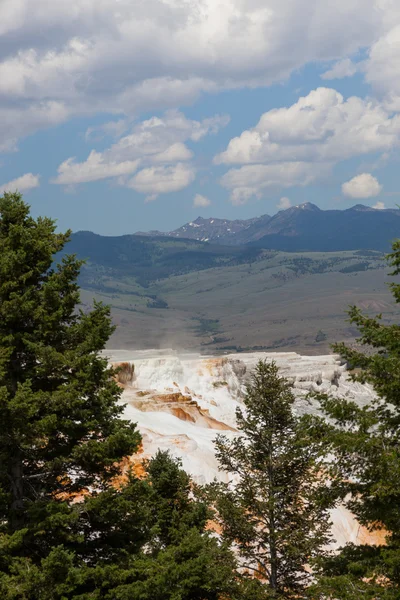 Mammoth hot springs — Stock Fotó