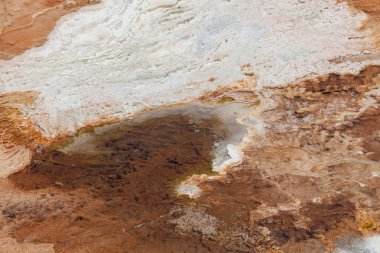 bakteri kontrast arka plan